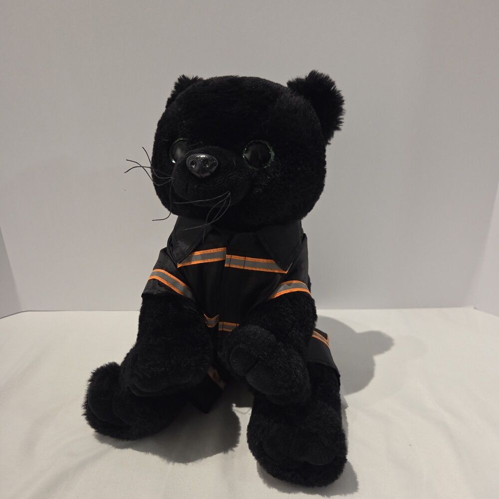 The Bear Factory 2001 Black Bear Big Green Eyes Plush Toy 12” With Costume